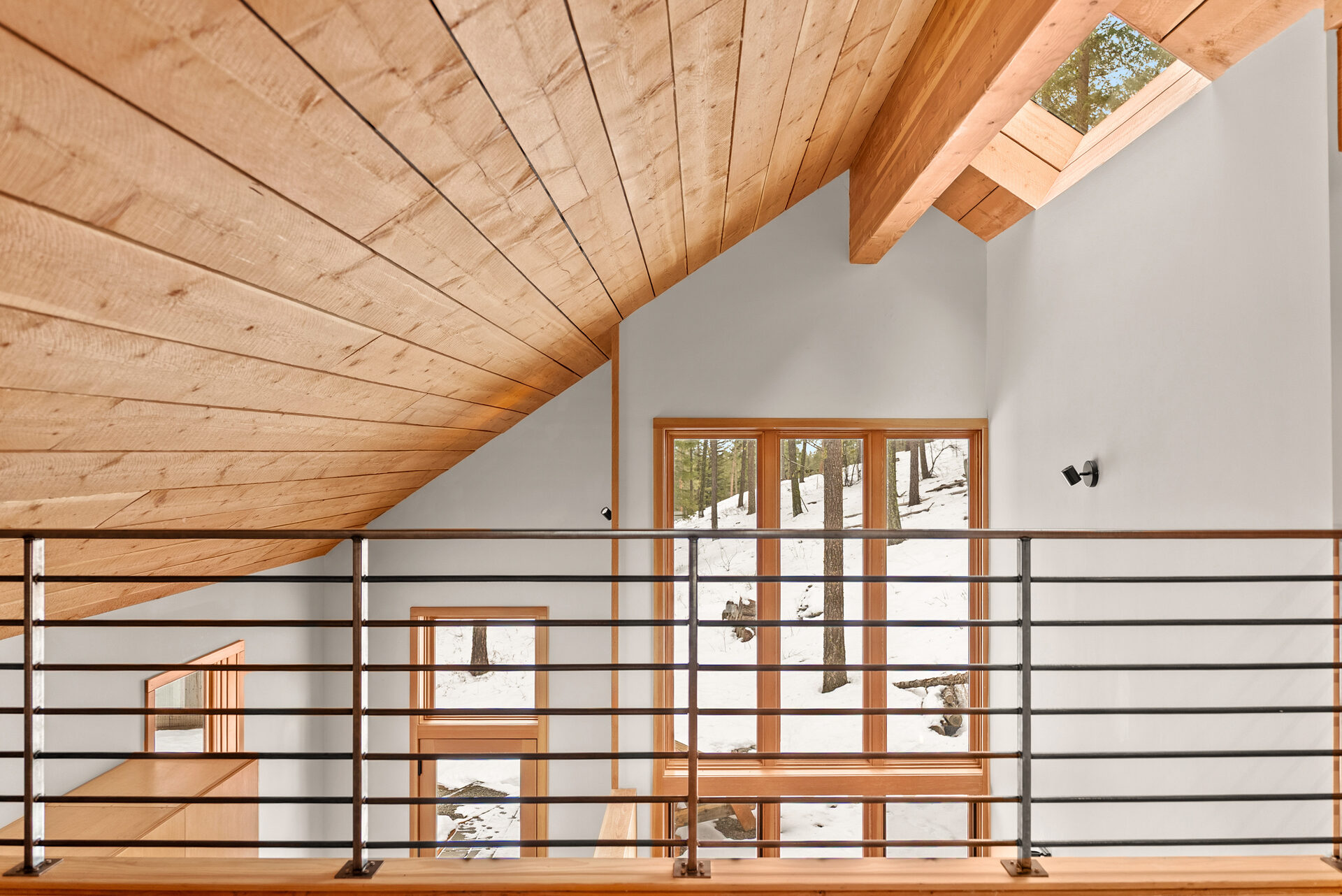 Long Leaf — Dsc07034